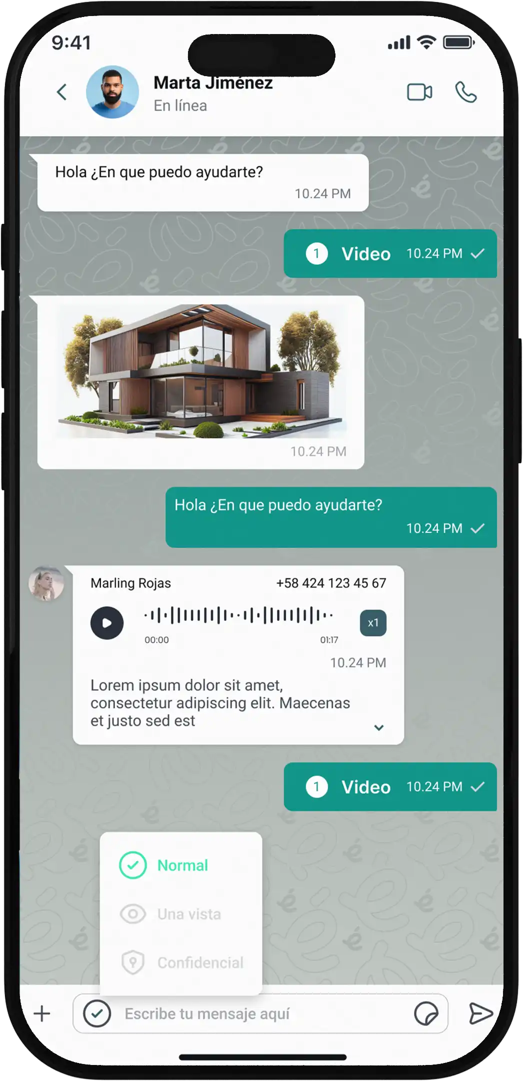 Disappearing messages feature